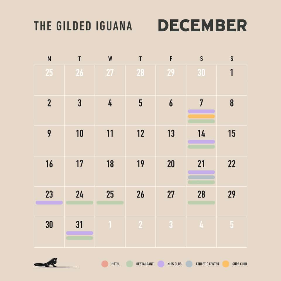 TGI CALENDAR december